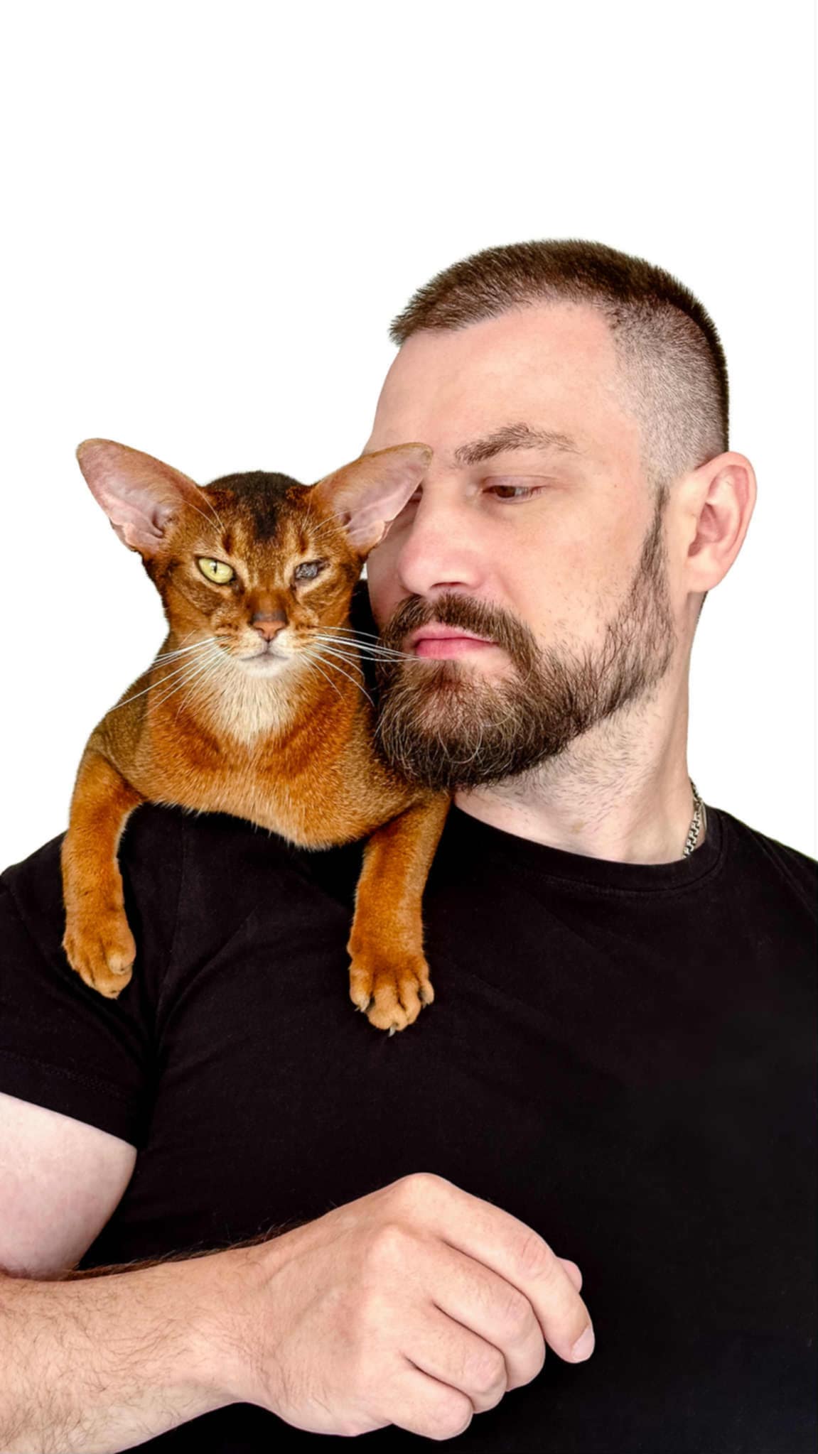 Pánský střih